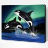 Dolphins Playing in Northern Lights Paint By Number