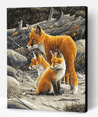 Fox Family Paint By Number