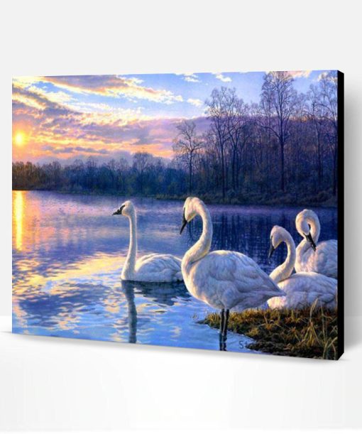 Swans in a Lake Paint By Number