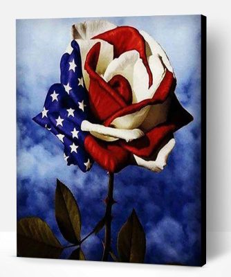 American Flag Rose Paint By Number