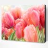 Coral Pink Tulip Paint By Number