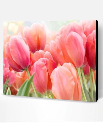 Coral Pink Tulip Paint By Number