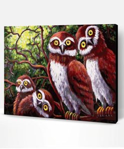 Owl Family Paint By Number