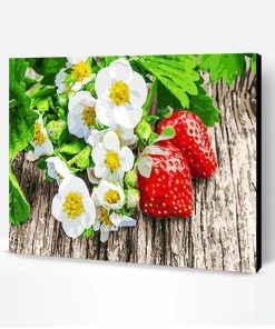 Strawberry Daisies Paint By Number