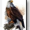 Bald Eagle on Tree Paint By Number