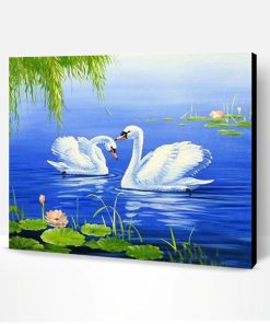 Two Lovely White Swan Paint By Number