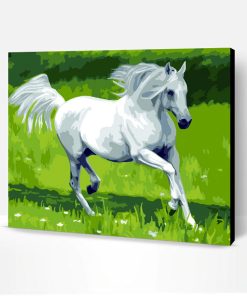 White Horse Paint By Number