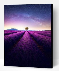 Lavender Fields By Night Paint By Number