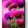 Hot Pink Aster Flowers Paint By Number