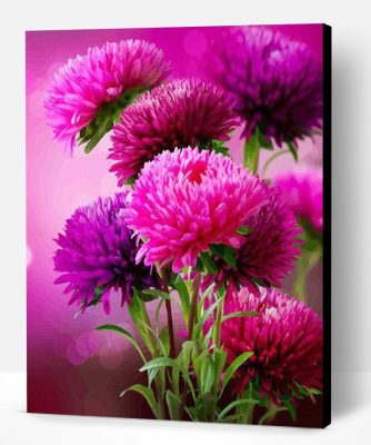 Hot Pink Aster Flowers Paint By Number