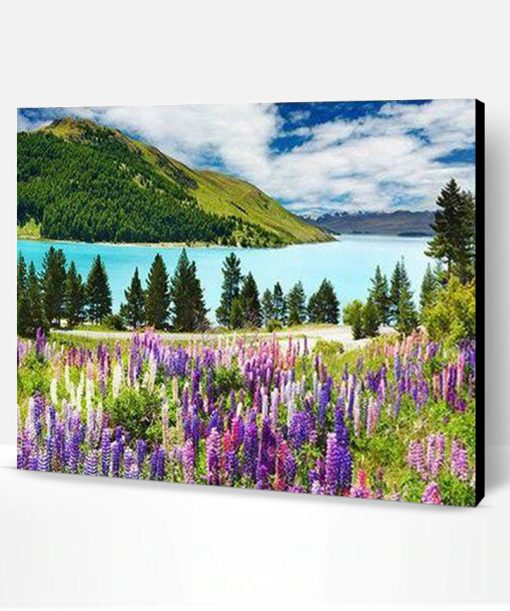 Lake Tekapo Paint By Number