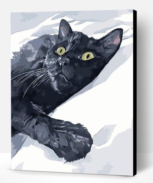 Black Cat In Snow Paint By Number