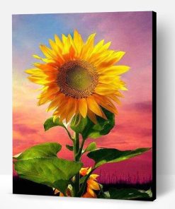 Sunflower Wall Decoration Paint By Number