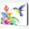 Colourful Humming Bird Paint By Number