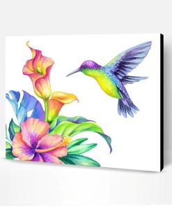 Colourful Humming Bird Paint By Number