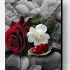 White And Red Roses on Gravel Paint By Number