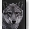 Wolf Black And White Paint By Number