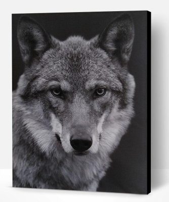 Wolf Black And White Paint By Number