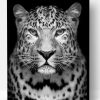 Leopard Black And White Paint By Number