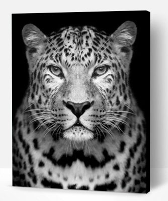 Leopard Black And White Paint By Number