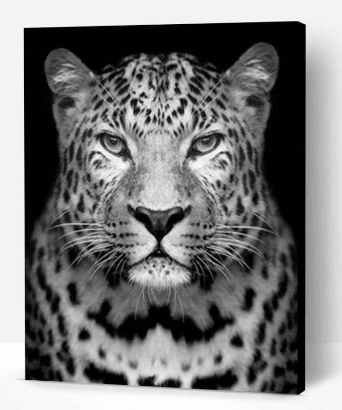 Leopard Black And White Paint By Number