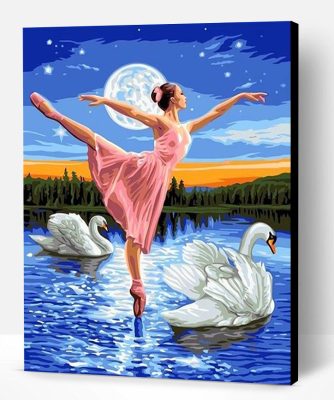 Swan and Ballerina Paint By Number