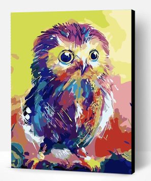 Colorful Chick Owl Paint By Number