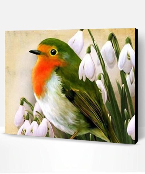 Robin Bird Paint By Number