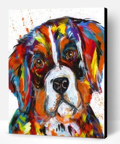Bernese Mountain Dog Paint By Number