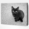 Black And White Kitten Paint By Number