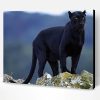 Black Panther In The Wild Paint By Number
