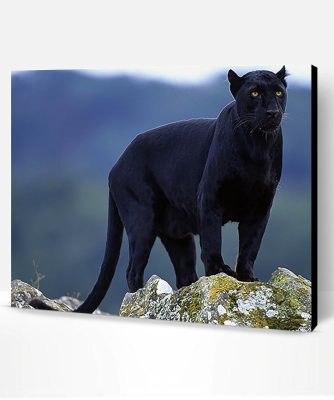 Black Panther In The Wild Paint By Number