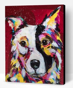 Border Collie Dog Paint By Number