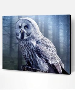 Twilight Owl Paint By Number