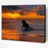 Horse on Sea Sunset Paint By Number