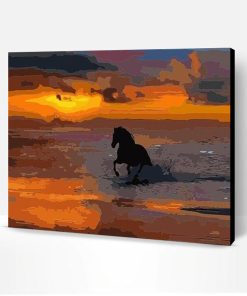 Horse on Sea Sunset Paint By Number
