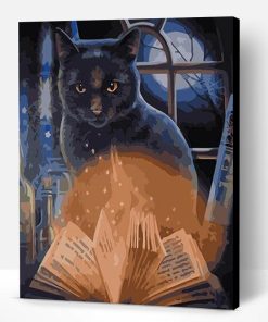 Witch Cat Paint By Number
