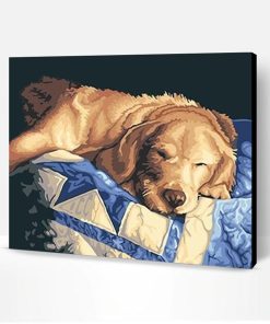 Lazy Dog Paint By Number