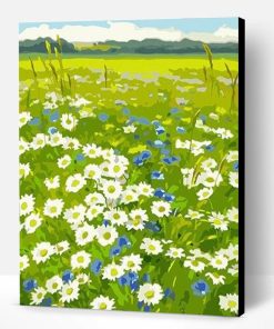 White Daisy Flower Field Paint By Number
