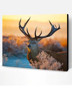Wild Sika Deer Paint By Number