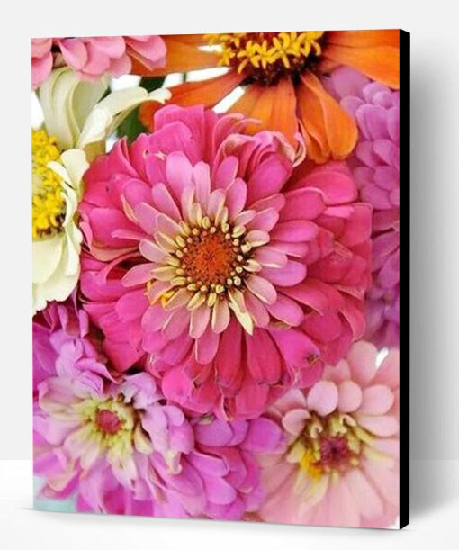 Collection of Zinnia Flowers Paint By Number