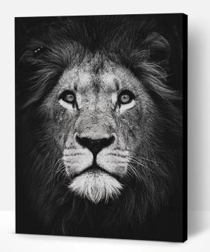 Black and White Lion Paint By Number