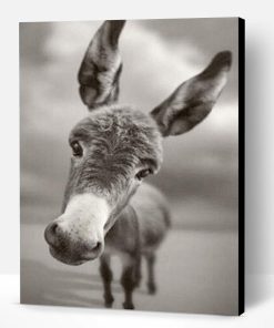 Donkey Black and White Paint By Number