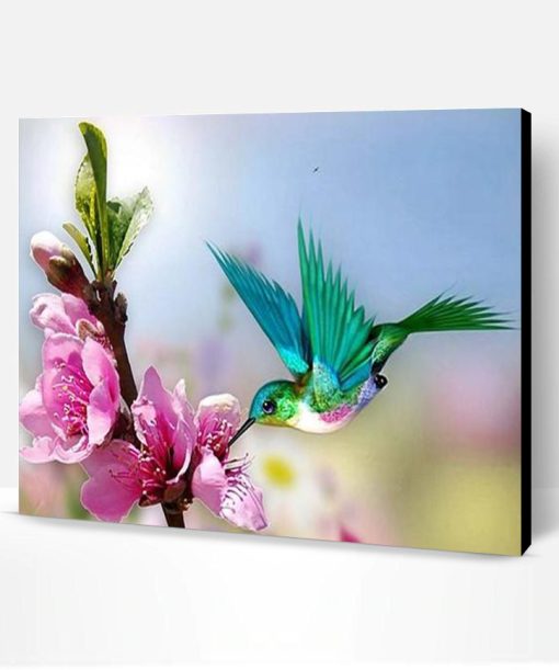 Pretty Hummingbird Paint By Number