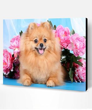 Brown Dog Pomeranian Paint By Number