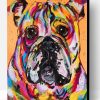 Bulldog Ben Dog Paint By Number