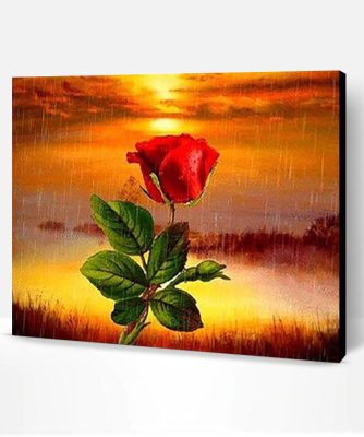 Rose on Rainy Sky Paint By Number