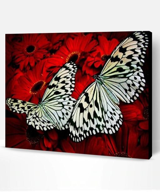 Butterfly on Red Flowers Paint By Number