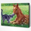 Cat and Horse in The Meadow Paint By Number