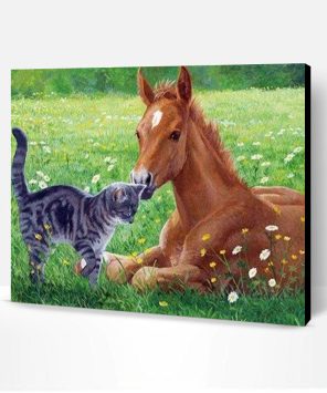 Cat and Horse in The Meadow Paint By Number